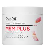 MSM PLUS 300GR